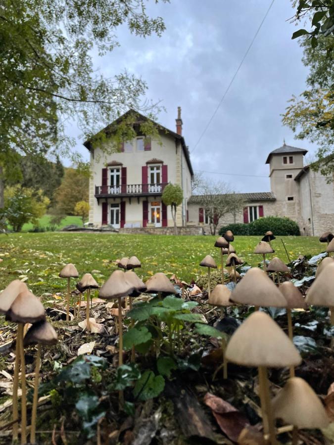 Domaine La Rose Bed & Breakfast Caylus Exterior foto
